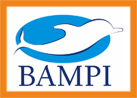 BAMPI-S